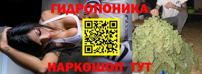 не бодяженный Заводоуковск