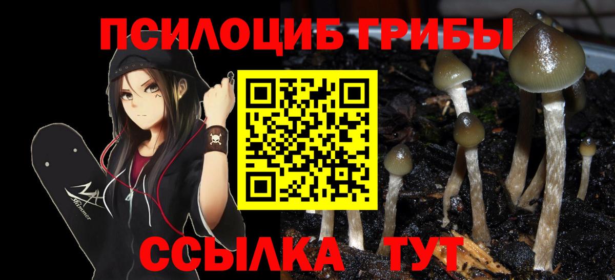 Псилоцибиновые грибы мухоморы Дагестанские Огни