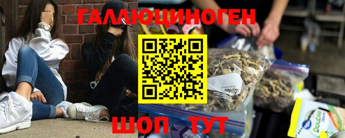 Дагестанские Огни  Псилоцибиновые грибы MAGIC MUSHROOMS  Псилоцибиновые грибы Cubensis  Вход с VPN 